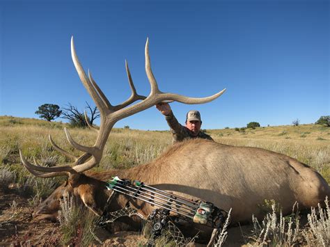 Arizona Elk Hunting.
